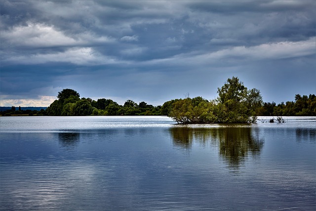 Water Damage Recovery Denver