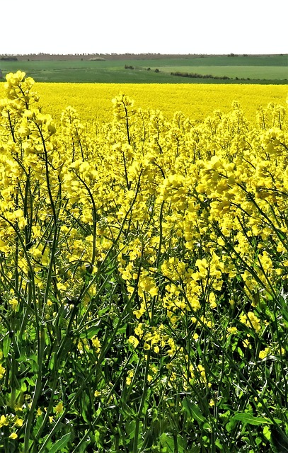 Water Extraction Denver