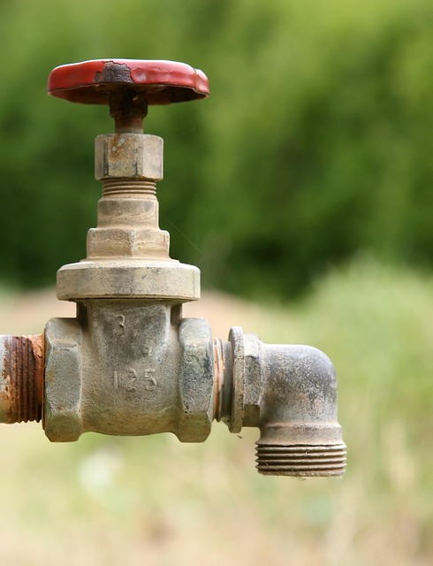 Affordable Plumber Arvada