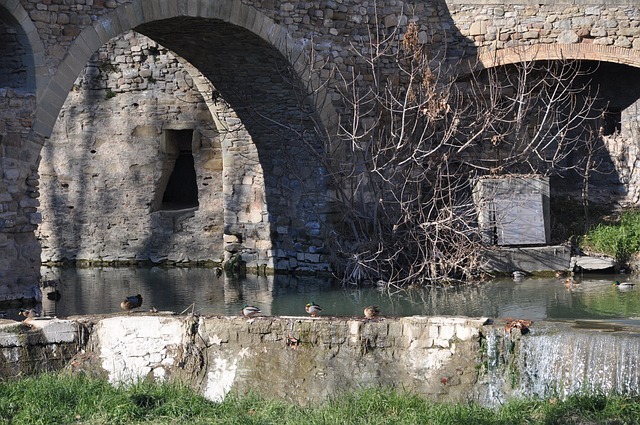 ARC Restoration Denver