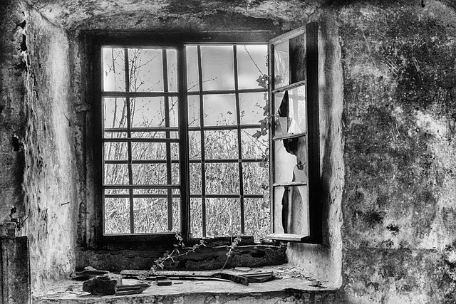 Basement Flooring Denver