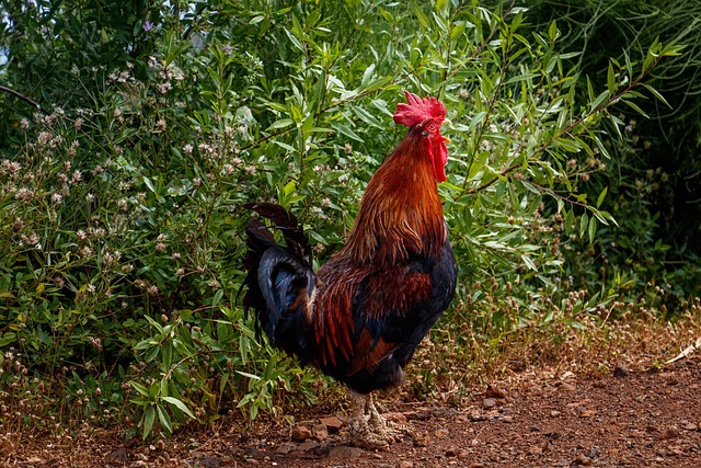 Bathroom Faucet Installation Arvada