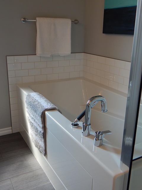 Bathroom Plumbing Arvada