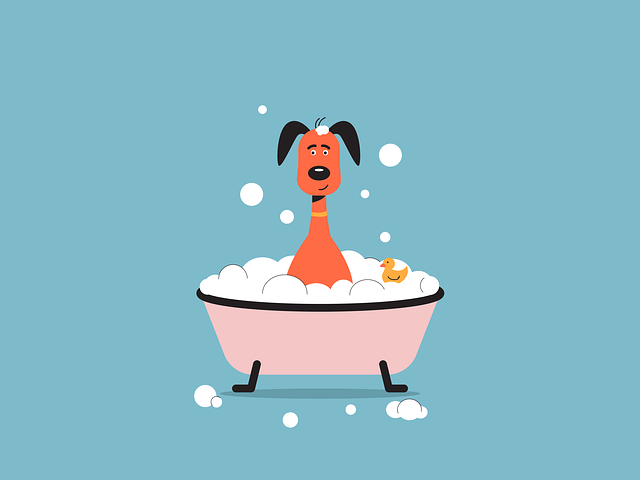 Bathtub Installation Services Arvada