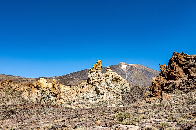 Boiler Services Arvada