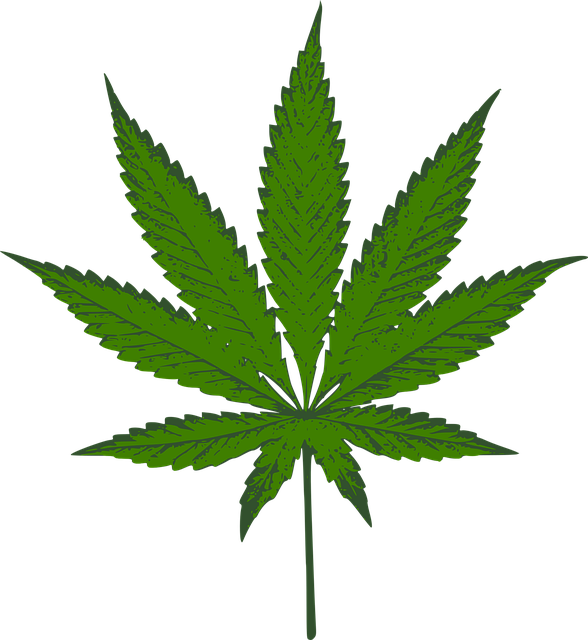 cannabis-640x480-42646521.png