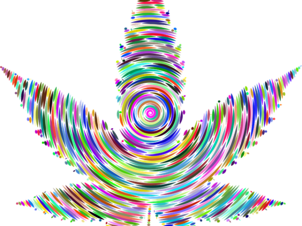 cannabis-640x480-97263295.png