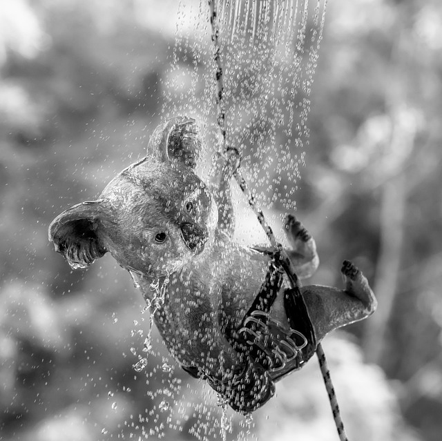 Custom Shower Installation Arvada