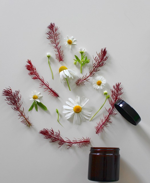 Denver Sewage Remediation