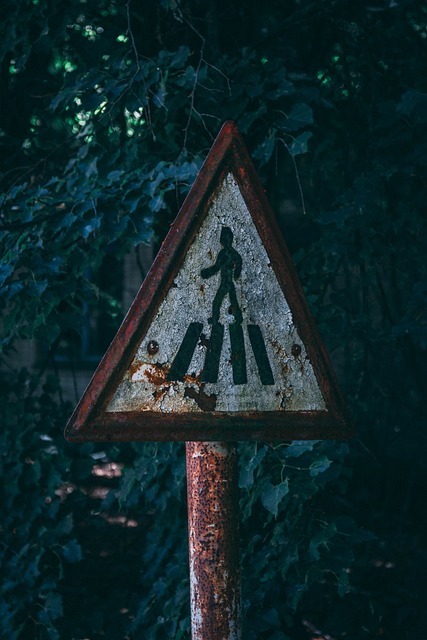 Disaster Cleanup Services Denver