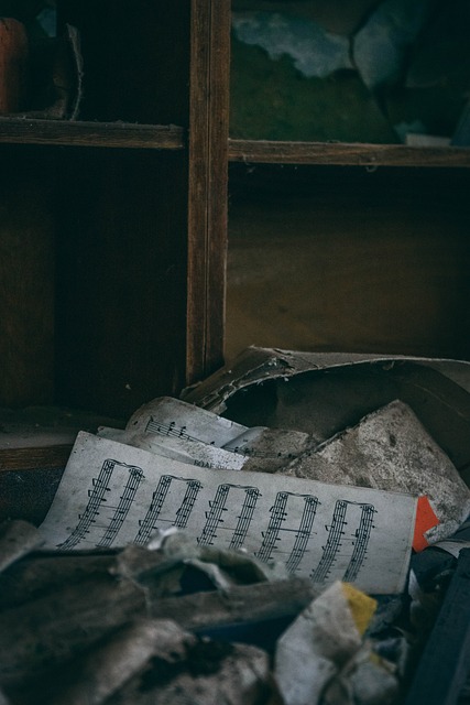 Disaster Cleanup Services Denver