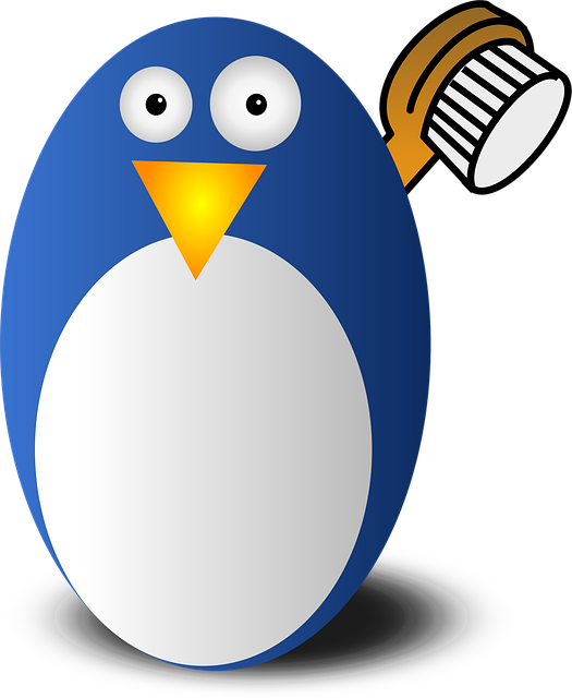 Disaster Cleanup Services Denver