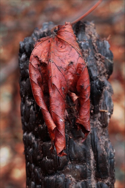 Fire Damage Repair Denver