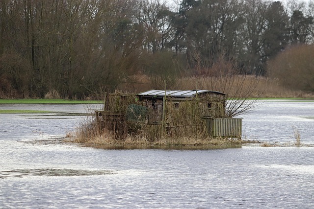 Flood Restoration Services Denver
