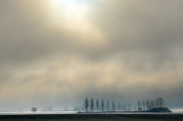 Flooded Basement Restoration Denver