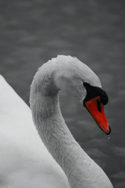 Home Water Filter Arvada