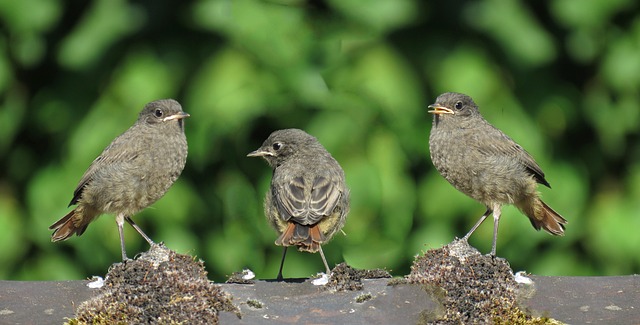 Juvenile Drug Crime Attorney Denver