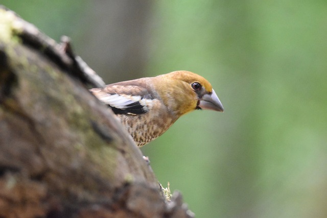 Juvenile Drug Crime Attorney Denver