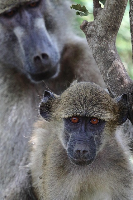 Juvenile Drug Crime Attorney Denver