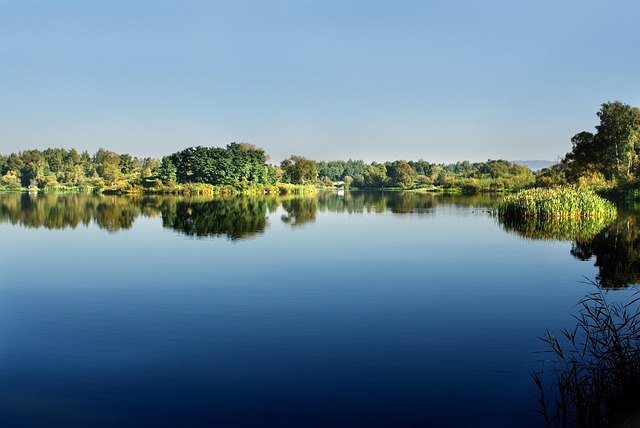 Licensed Plumber Arvada