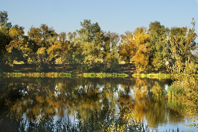 Licensed Plumber Arvada