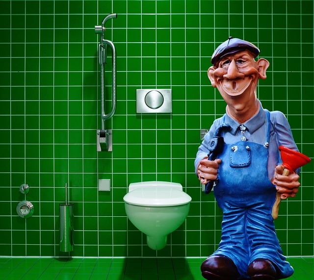 Local Plumber Arvada