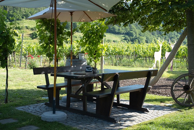 Local Plumber Arvada