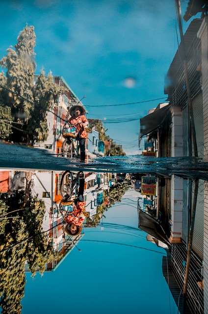 Mold Remediation Denver