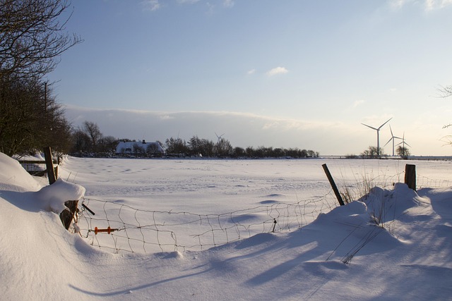 Mold Remediation Denver
