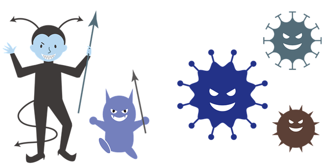 Mold Removal Services Denver