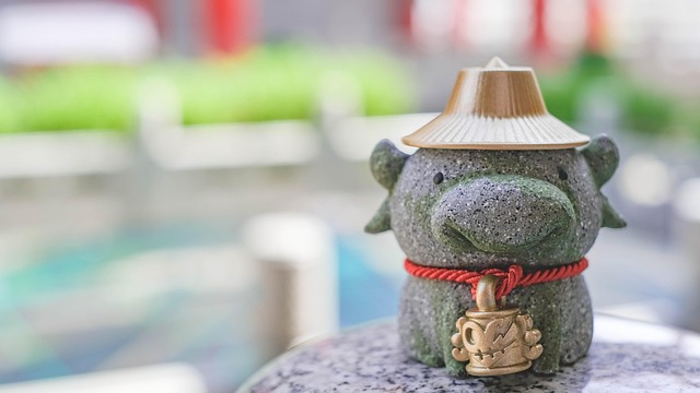 Mold Removal Services Denver