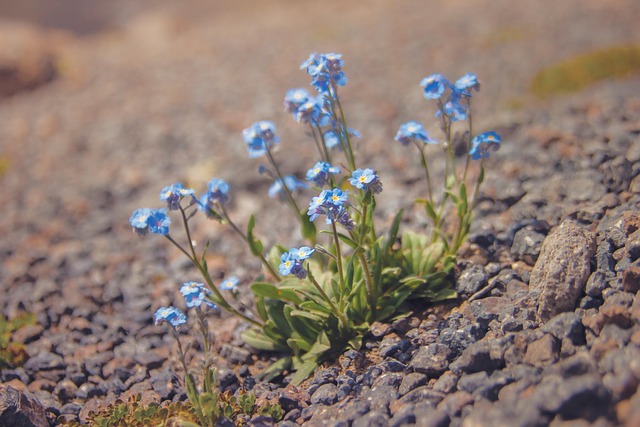 Plumber Near Me Arvada