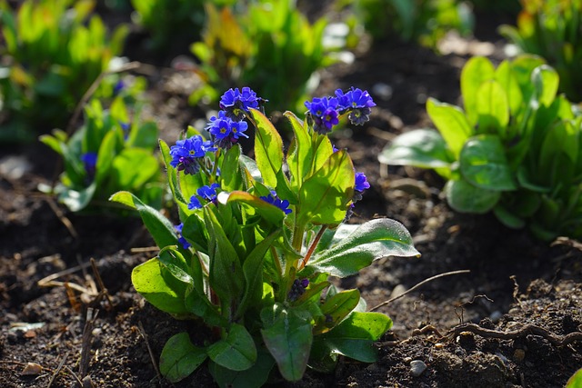 Plumber Near Me Arvada