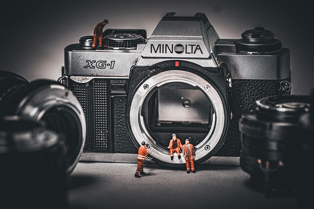 Plumbing Inspection Arvada