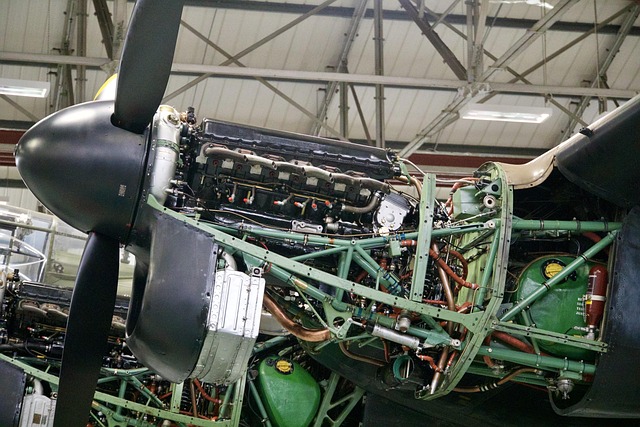 Plumbing Maintenance Arvada