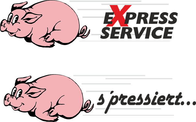 Repiping Services Arvada