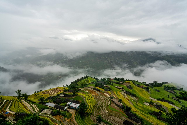 Residential Plumbing Arvada