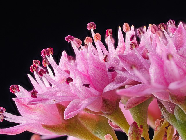 Rubber Flooring Denver