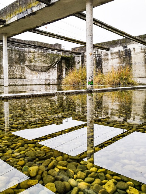 Sewage Cleanup Services Denver