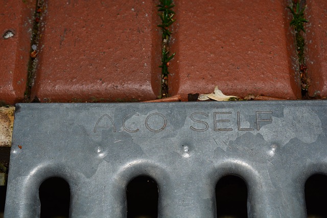 Sewage Removal Denver