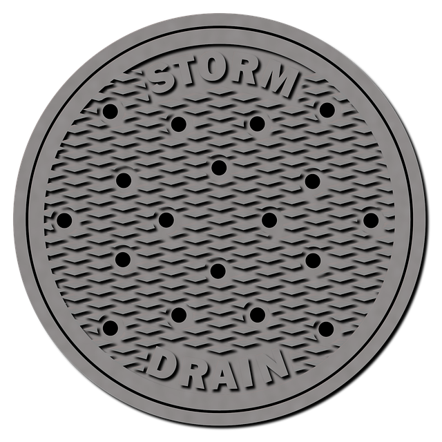 Sewer Repair Services Arvada