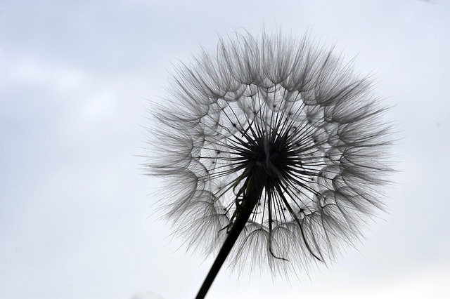 Shower Plumbing Services Arvada