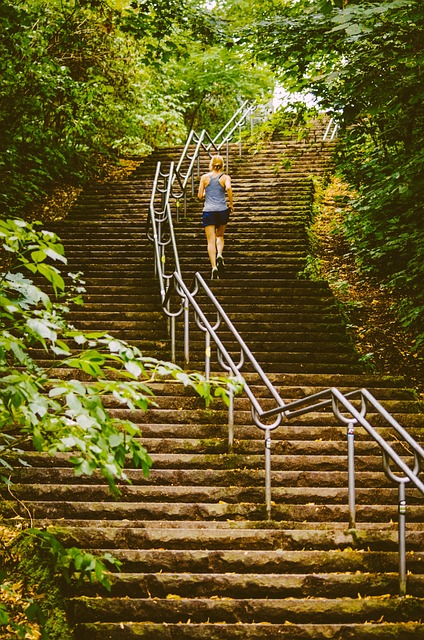 Stair Runners Denver
