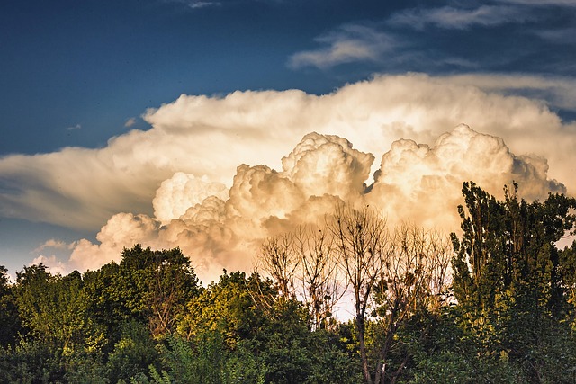 Sump Pump Installation Arvada