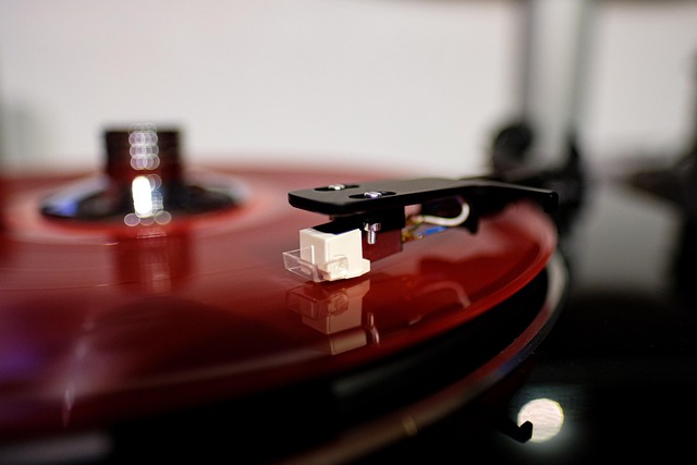 Vinyl Flooring Installation Denver