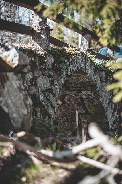 ARC Restoration Denver