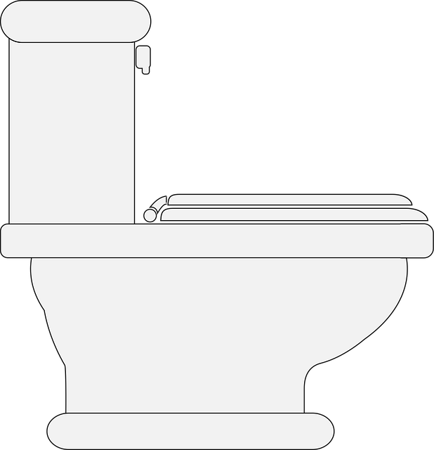 Bathroom Plumbing Arvada