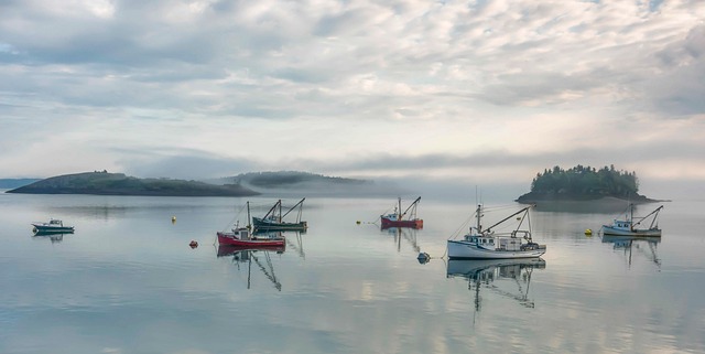 Commercial Water Heater Arvada