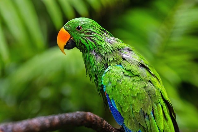 Custom Shower Installation Arvada