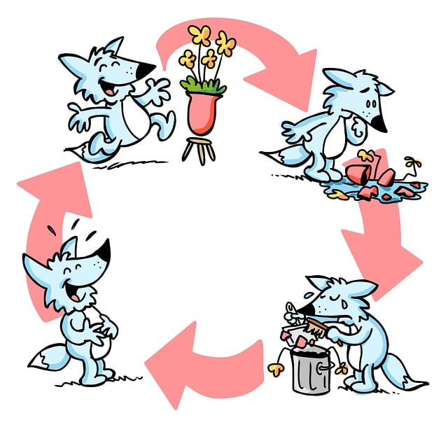 Denver Disaster Cleanup